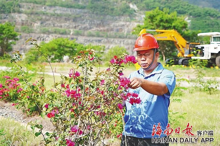 海南這座礦山，為何這么綠？4.jpg